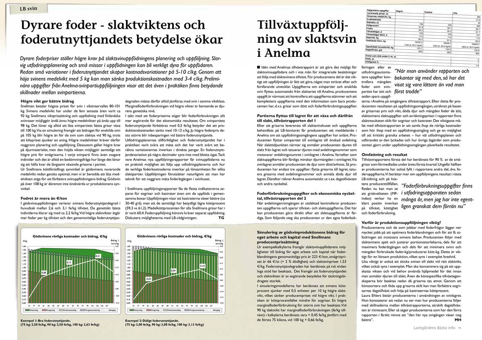 Genom att höja svinens medelvikt med 5 kg kan man sänka produktionskostnaden med 3-4 c/kg.