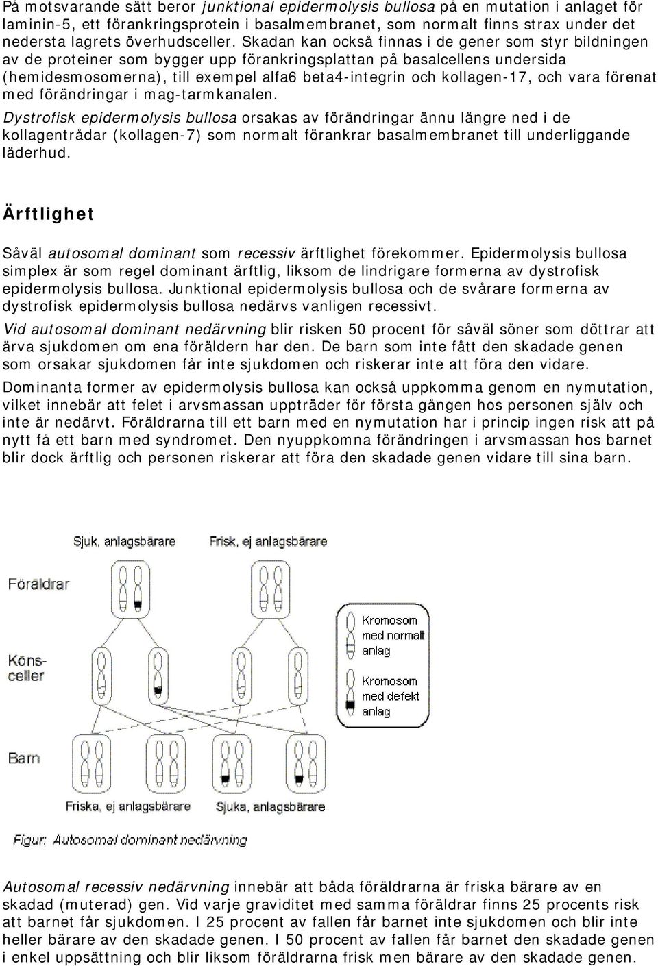 Skadan kan också finnas i de gener som styr bildningen av de proteiner som bygger upp förankringsplattan på basalcellens undersida (hemidesmosomerna), till exempel alfa6 beta4-integrin och