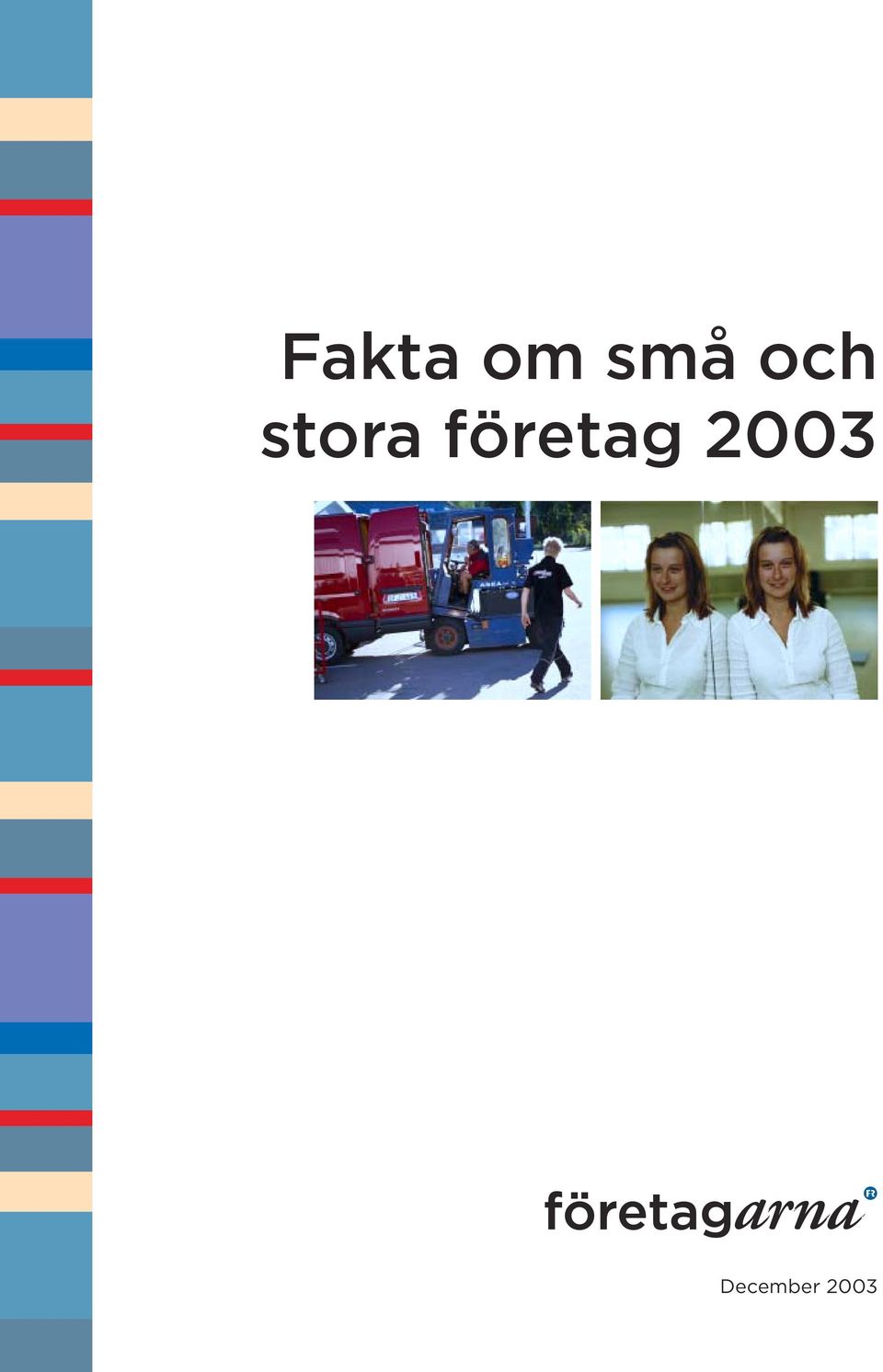 företag 2003