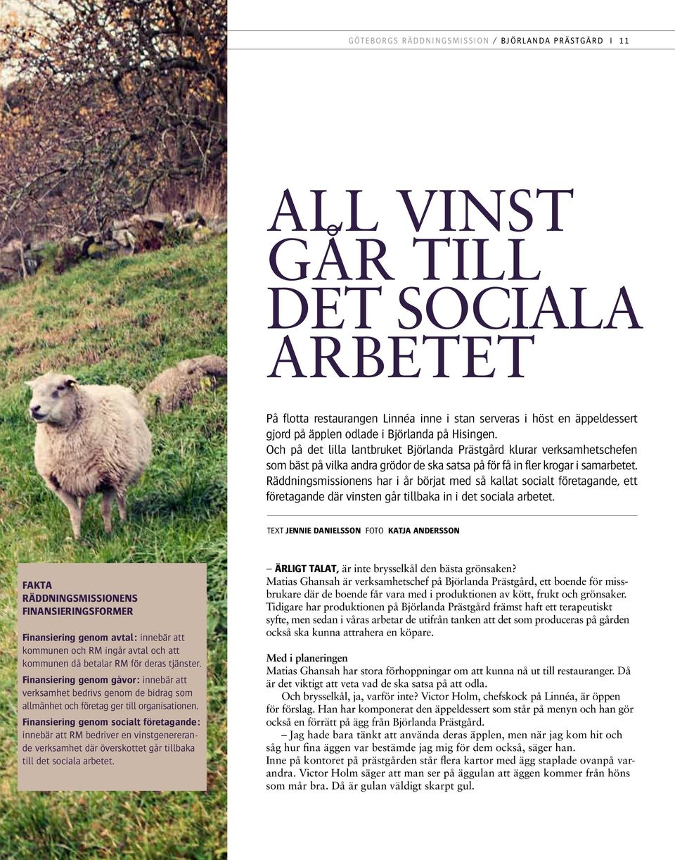 Räddningsmissionens har i år börjat med så kallat socialt företagande, ett företagande där vinsten går tillbaka in i det sociala arbetet.