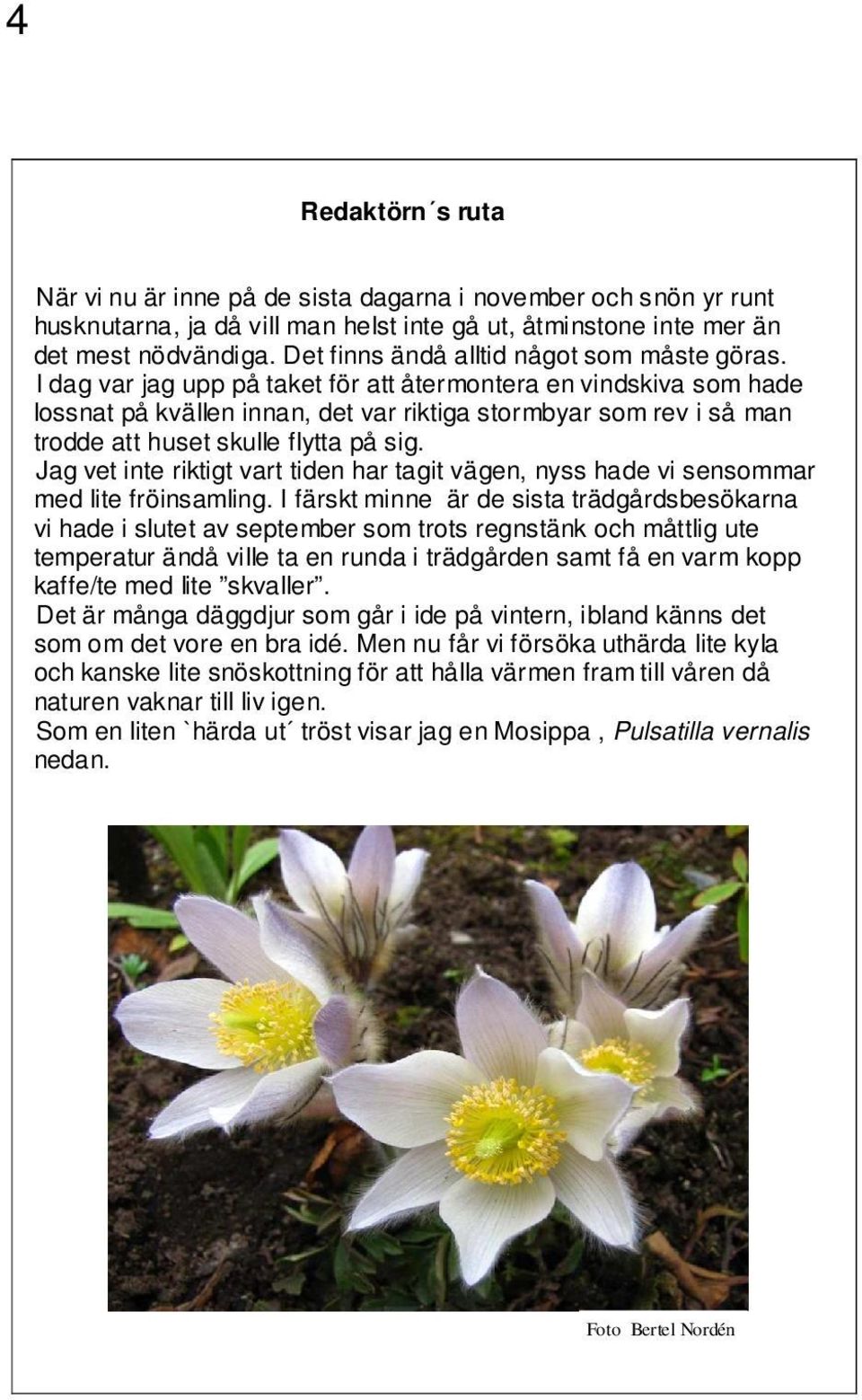 I dag var jag upp på taket för att återmontera en vindskiva som hade lossnat på kvällen innan, det var riktiga stormbyar som rev i så man trodde att huset skulle flytta på sig.