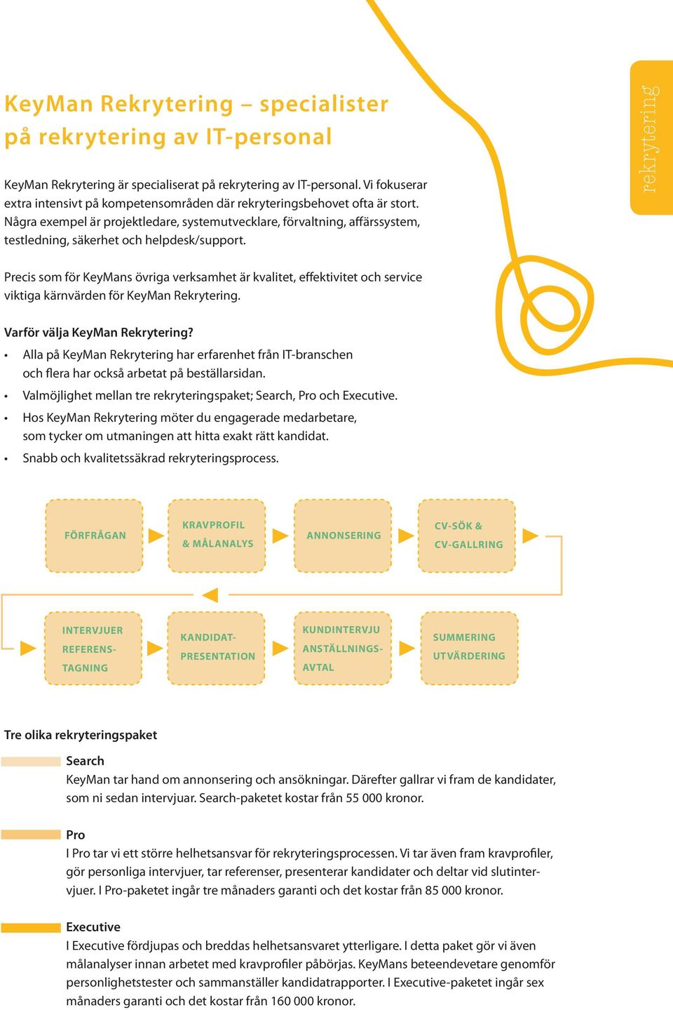 Några exempel är projektledare, systemutvecklare, förvaltning, affärssystem, testledning, säkerhet och helpdesk/support.