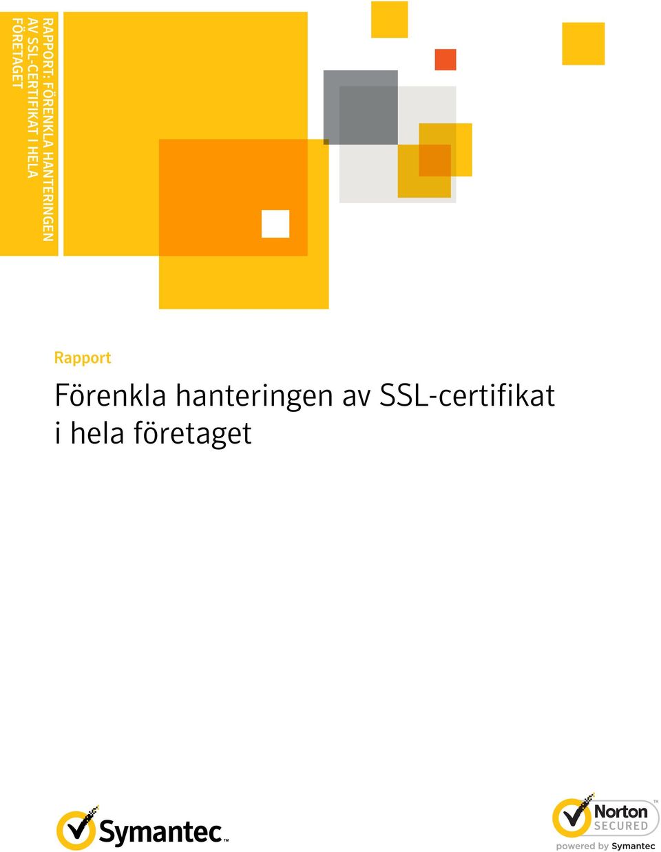 FÖRETAGET Rapport Förenkla
