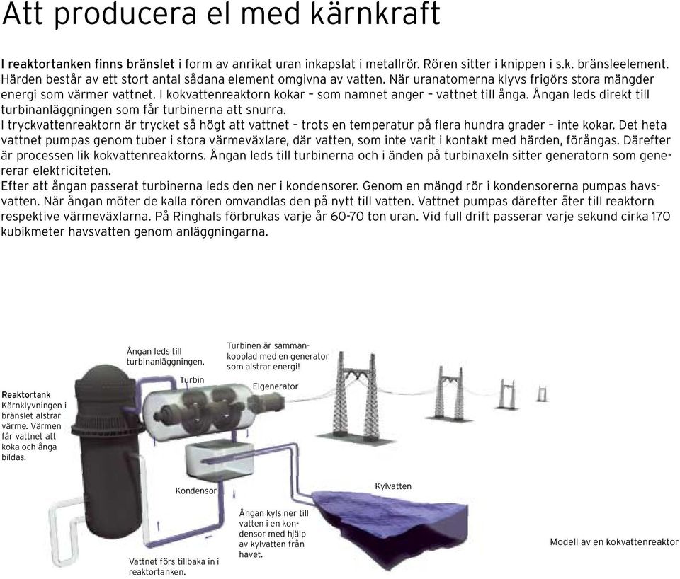 Ångan leds direkt till turbinanläggningen som får turbinerna att snurra. I tryckvattenreaktorn är trycket så högt att vattnet trots en temperatur på flera hundra grader inte kokar.