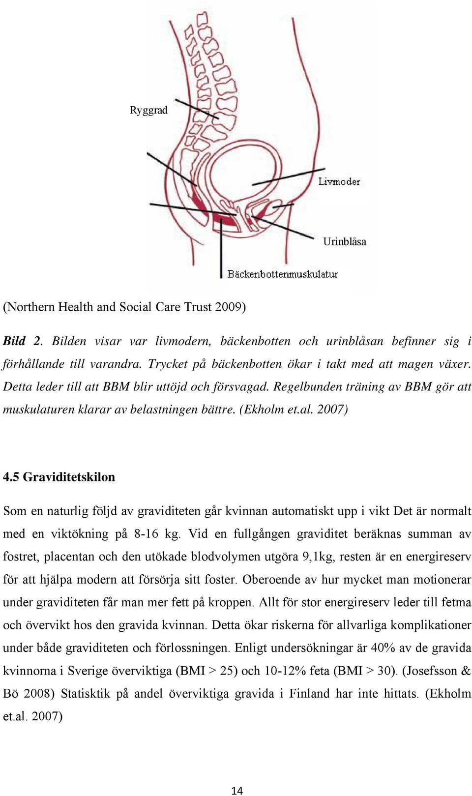 al. 2007) 4.5 Graviditetskilon Som en naturlig följd av graviditeten går kvinnan automatiskt upp i vikt Det är normalt med en viktökning på 8-16 kg.