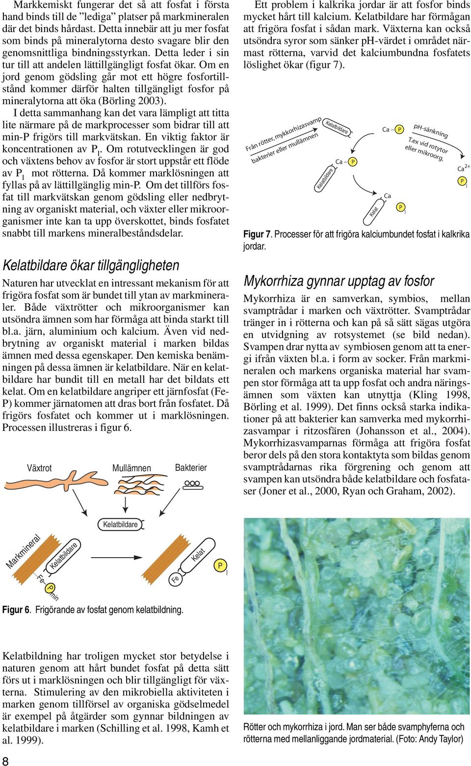 Om en jord genom gödsling går mot ett högre fosfortillstånd kommer därför halten tillgängligt fosfor på mineralytorna att öka (Börling 2003).