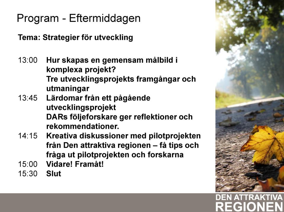 Tre utvecklingsprojekts framgångar och utmaningar 13:45 Lärdomar från ett pågående utvecklingsprojekt DARs