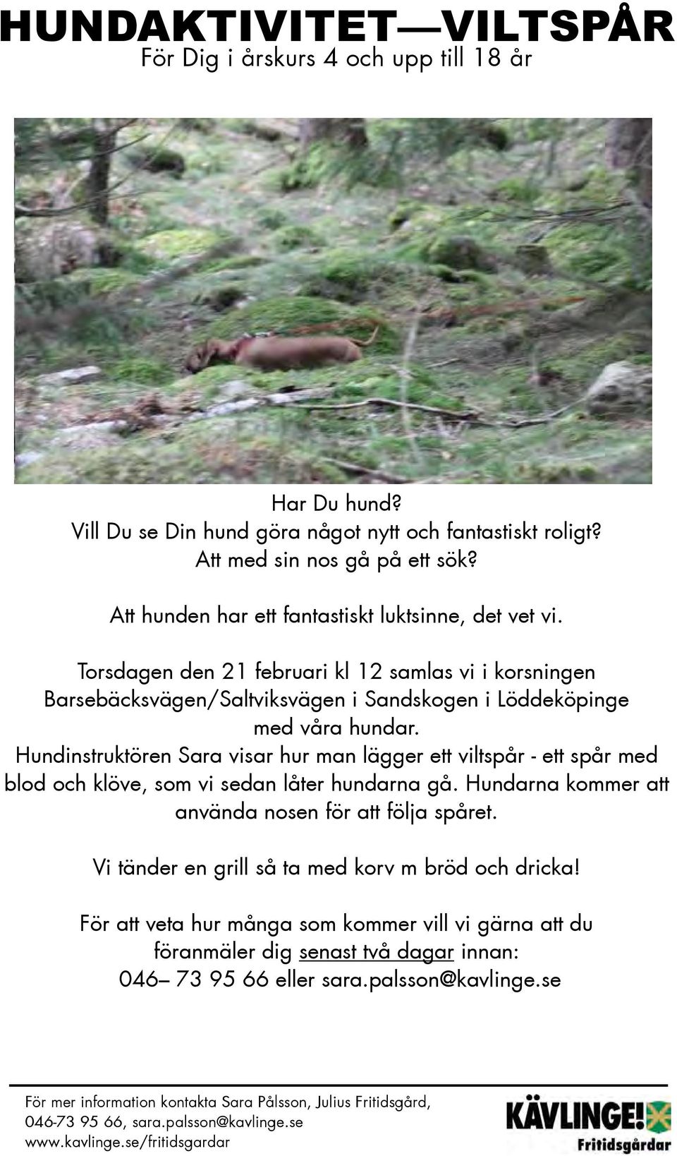 Hundinstruktören Sara visar hur man lägger ett viltspår - ett spår med blod och klöve, som vi sedan låter hundarna gå. Hundarna kommer att använda nosen för att följa spåret.