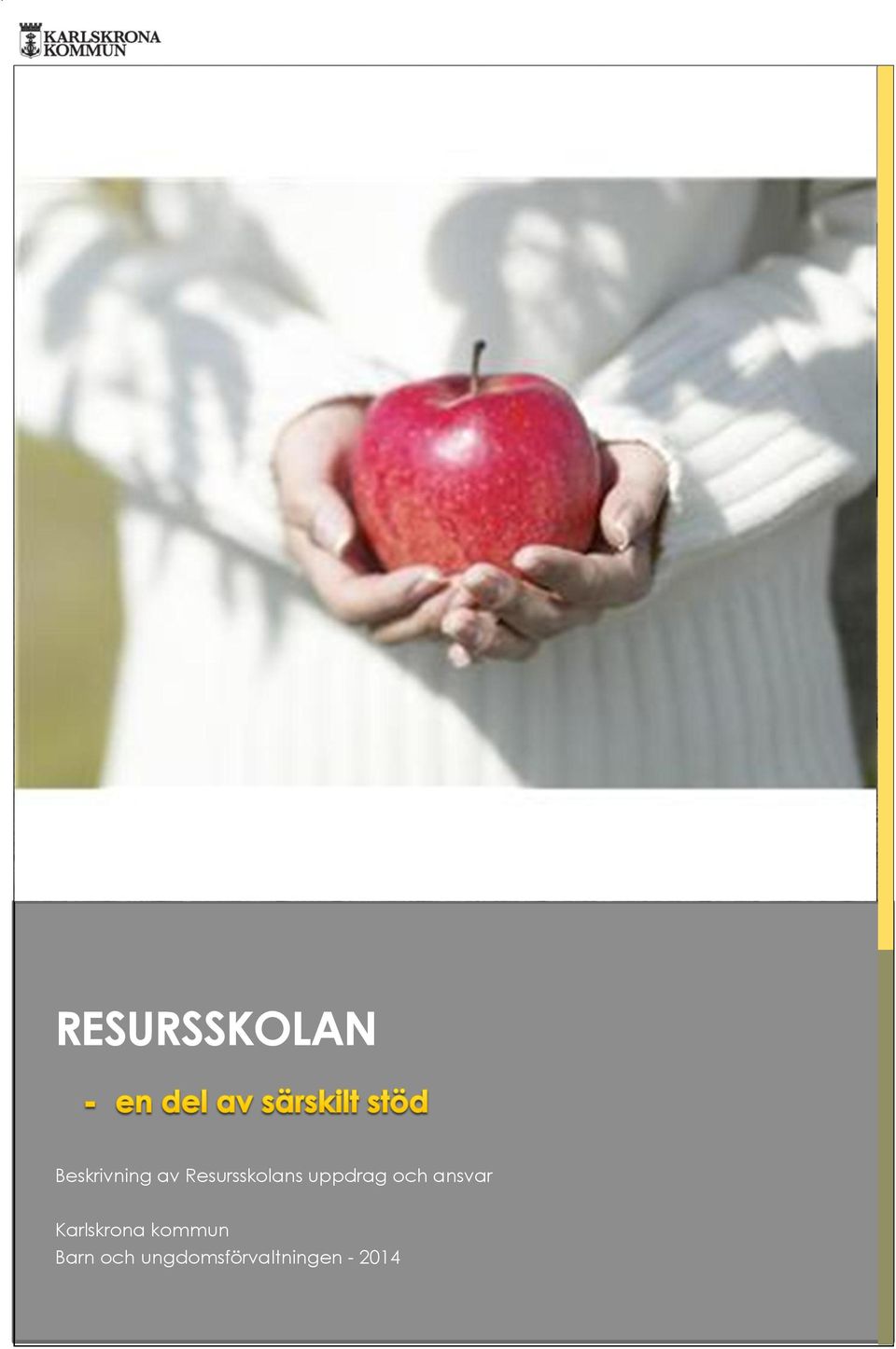 ansvar Karlskrona kommun
