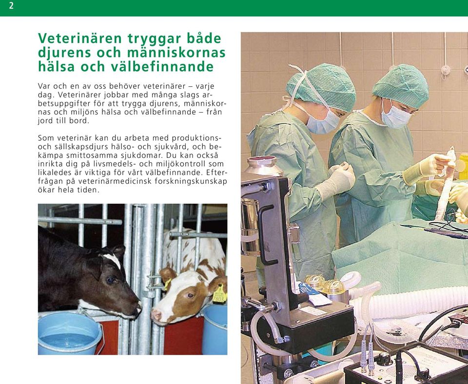 bord. Som veterinär kan du arbeta med produktionsoch sällskapsdjurs hälso- och sjukvård, och bekämpa smittosamma sjukdomar.