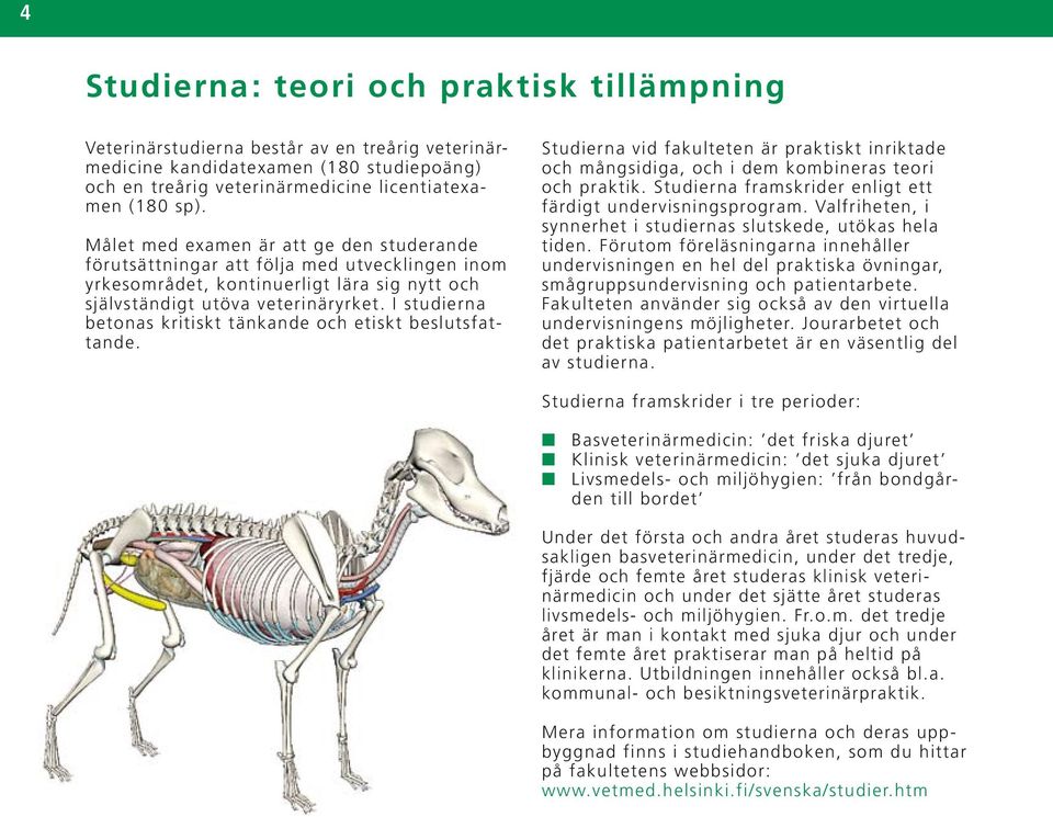 I studierna betonas kritiskt tänkande och etiskt beslutsfattande. Studierna vid fakulteten är praktiskt inriktade och mångsidiga, och i dem kombineras teori och praktik.