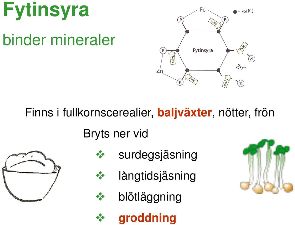 nötter, frön Bryts ner vid