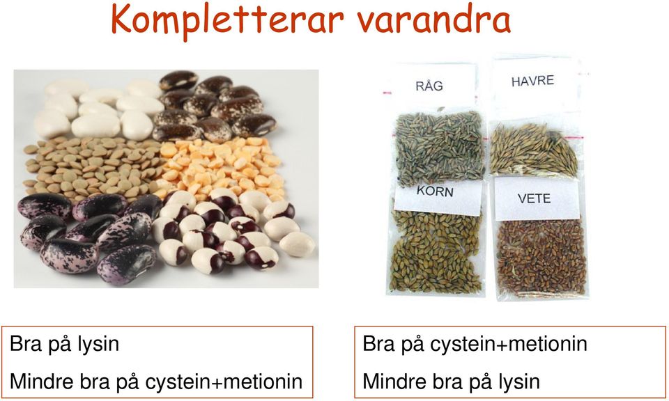 cystein+metionin Bra på