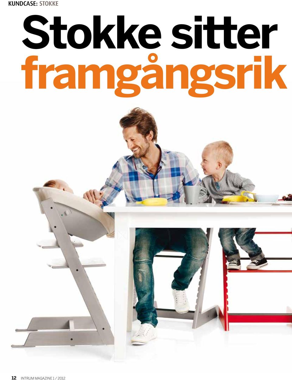 framgångsrik 12