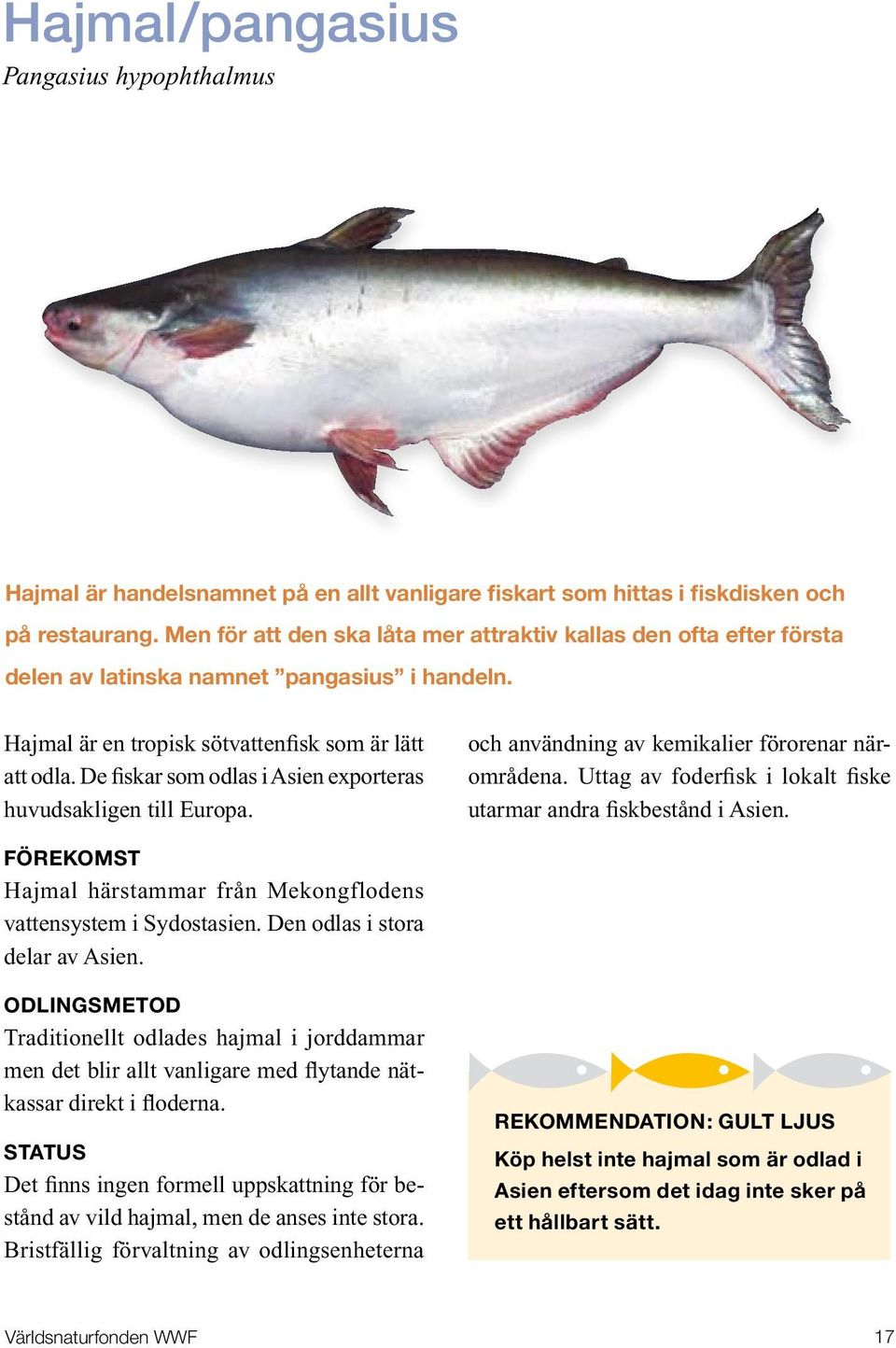 De fiskar som odlas i Asien exporteras huvudsakligen till Europa. och användning av kemikalier förorenar närområdena. Uttag av foderfisk i lokalt fiske utarmar andra fiskbestånd i Asien.