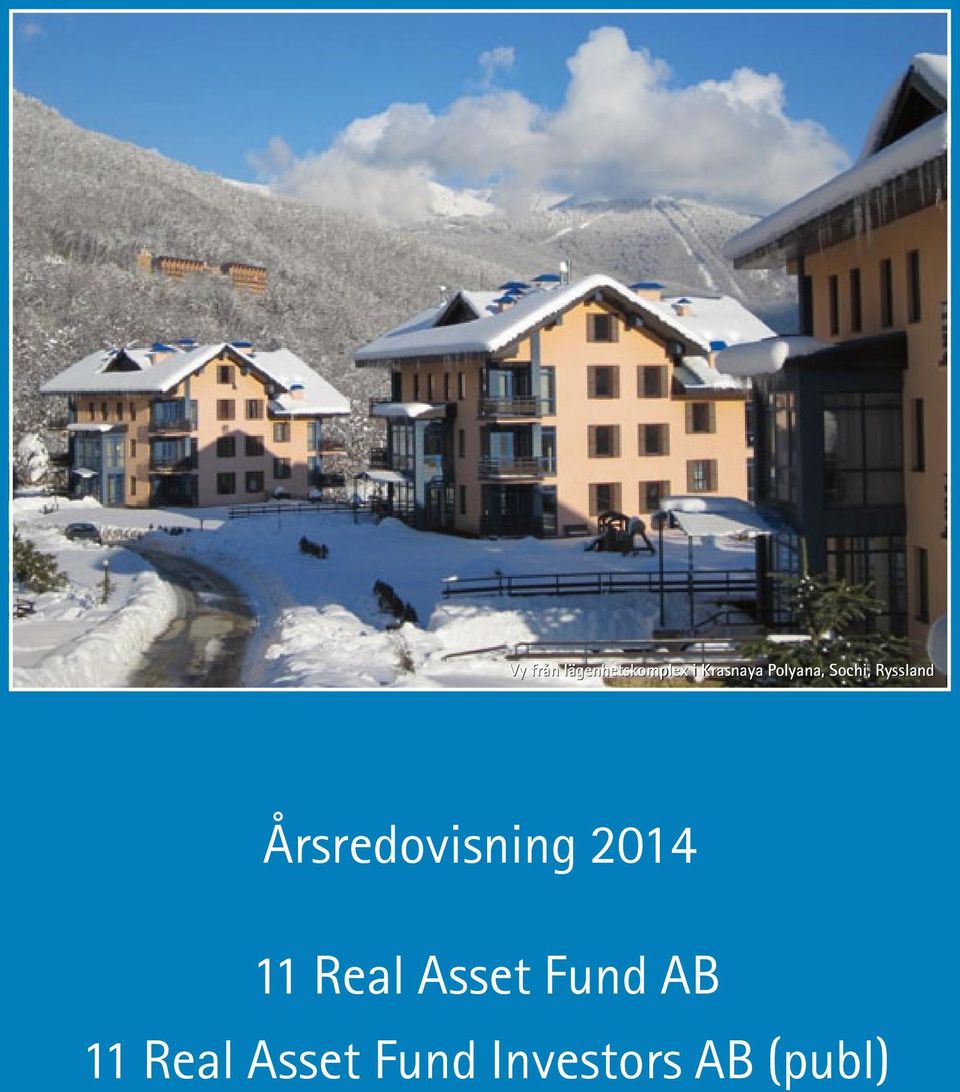 Årsredovisning 2014 11 Real Asset