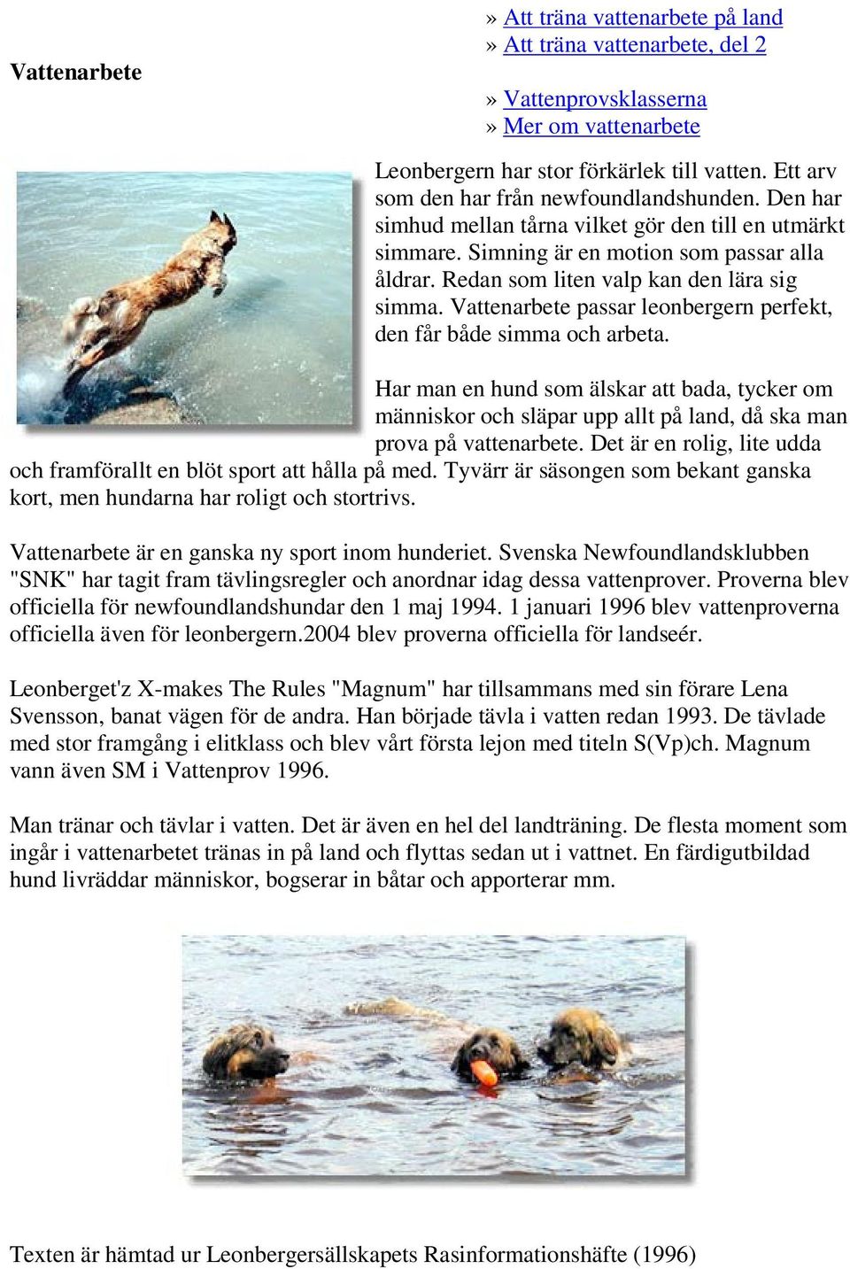 Redan som liten valp kan den lära sig simma. Vattenarbete passar leonbergern perfekt, den får både simma och arbeta.