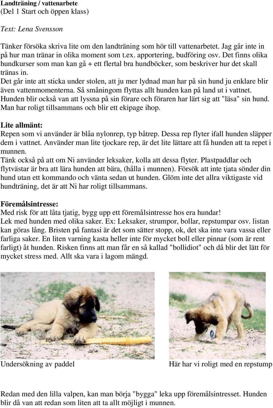 Det går inte att sticka under stolen, att ju mer lydnad man har på sin hund ju enklare blir även vattenmomenterna. Så småningom flyttas allt hunden kan på land ut i vattnet.