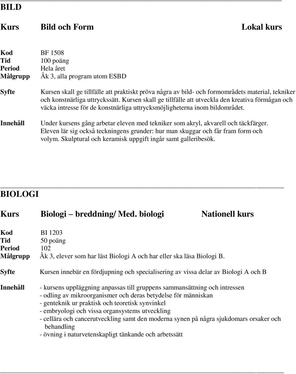 Under kursens gång arbetar eleven med tekniker som akryl, akvarell och täckfärger. Eleven lär sig också teckningens grunder: hur man skuggar och får fram form och volym.