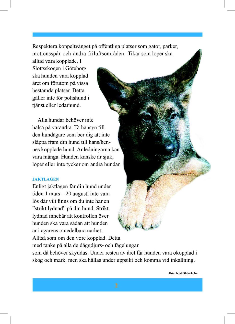 Ta hänsyn till den hundägare som ber dig att inte släppa fram din hund till hans/hennes kopplade hund. Anledningarna kan vara många. Hunden kanske är sjuk, löper eller inte tycker om andra hundar.