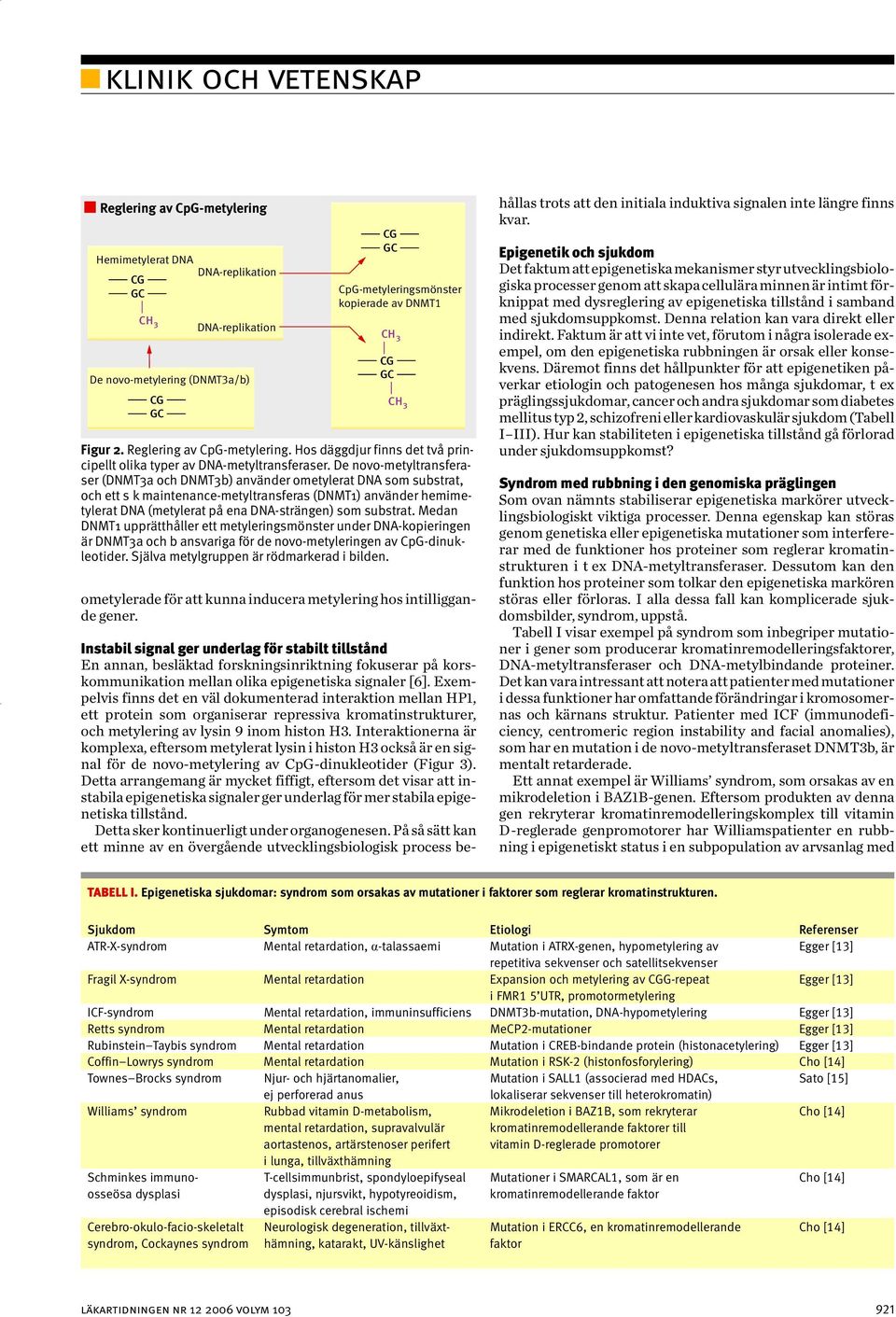 De novo-metyltransferaser (DNT3a och DNT3b) använder ometylerat DNA som substrat, och ett s k maintenance-metyltransferas (DNT1) använder hemimetylerat DNA (metylerat på ena DNA-strängen) som