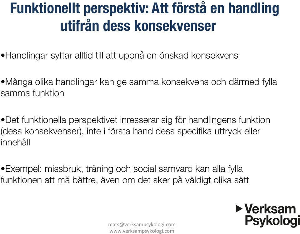 perspektivet inresserar sig för handlingens funktion (dess konsekvenser), inte i första hand dess specifika uttryck eller