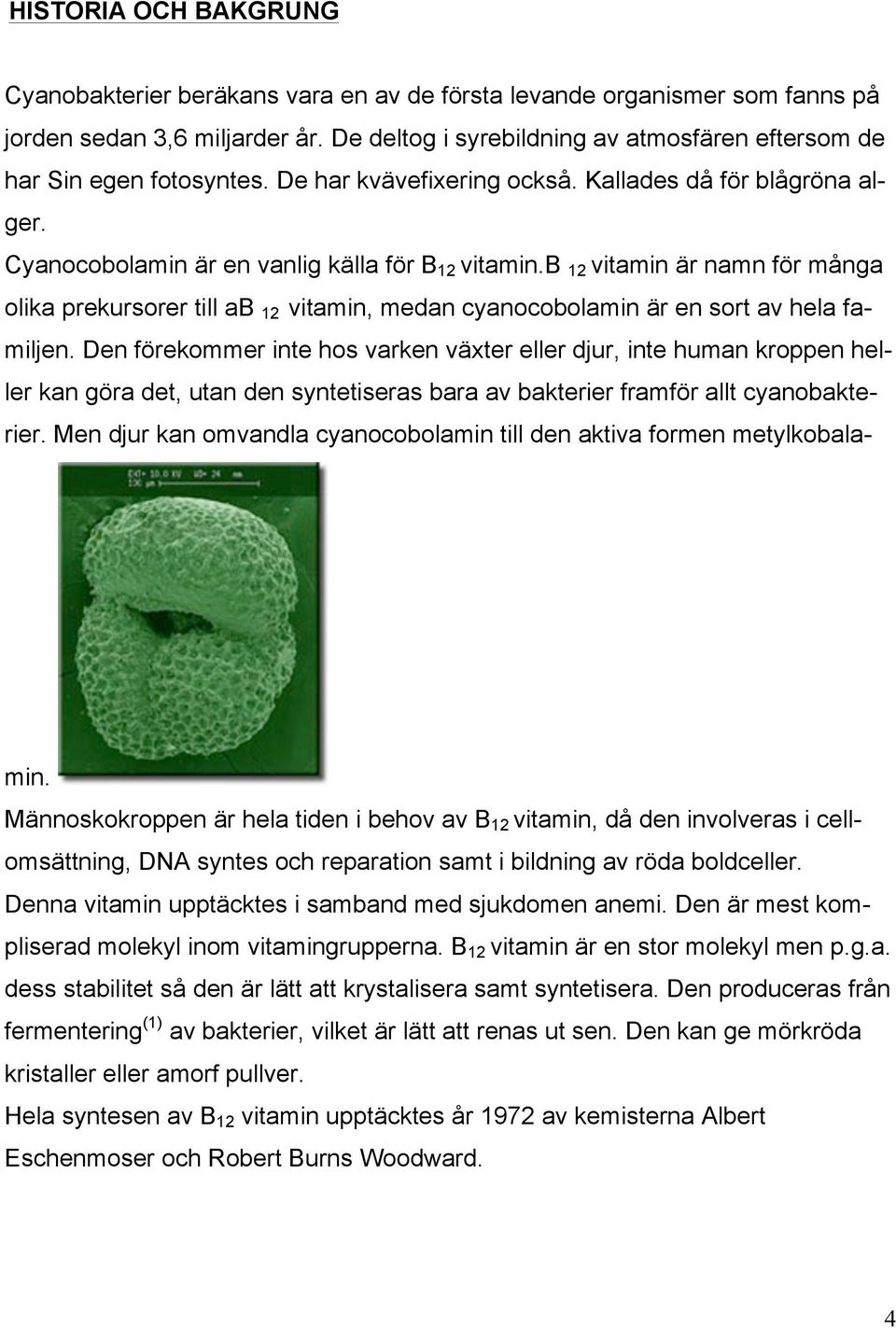 b 12 vitamin är namn för många olika prekursorer till ab 12 vitamin, medan cyanocobolamin är en sort av hela familjen.