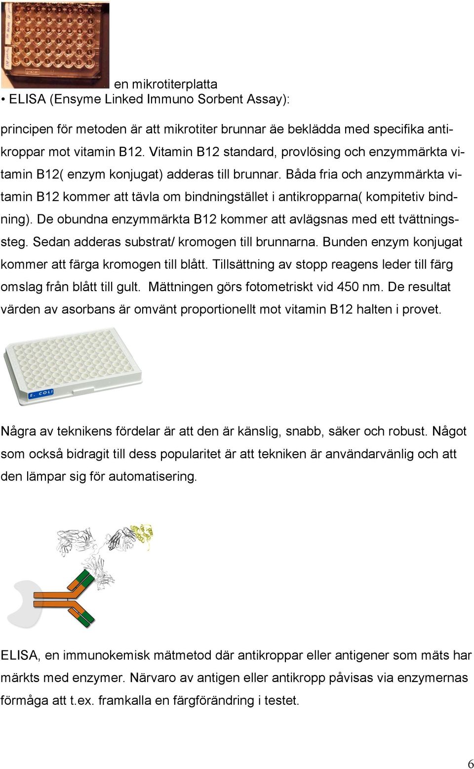 Båda fria och anzymmärkta vitamin B12 kommer att tävla om bindningstället i antikropparna( kompitetiv bindning). De obundna enzymmärkta B12 kommer att avlägsnas med ett tvättningssteg.