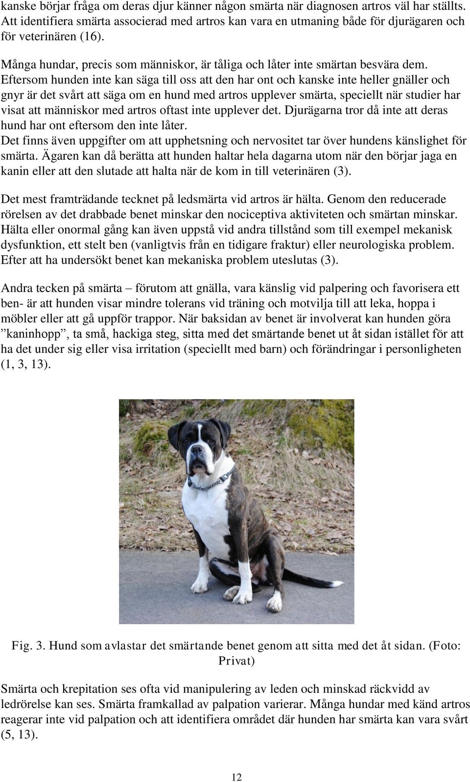 Eftersom hunden inte kan säga till oss att den har ont och kanske inte heller gnäller och gnyr är det svårt att säga om en hund med artros upplever smärta, speciellt när studier har visat att