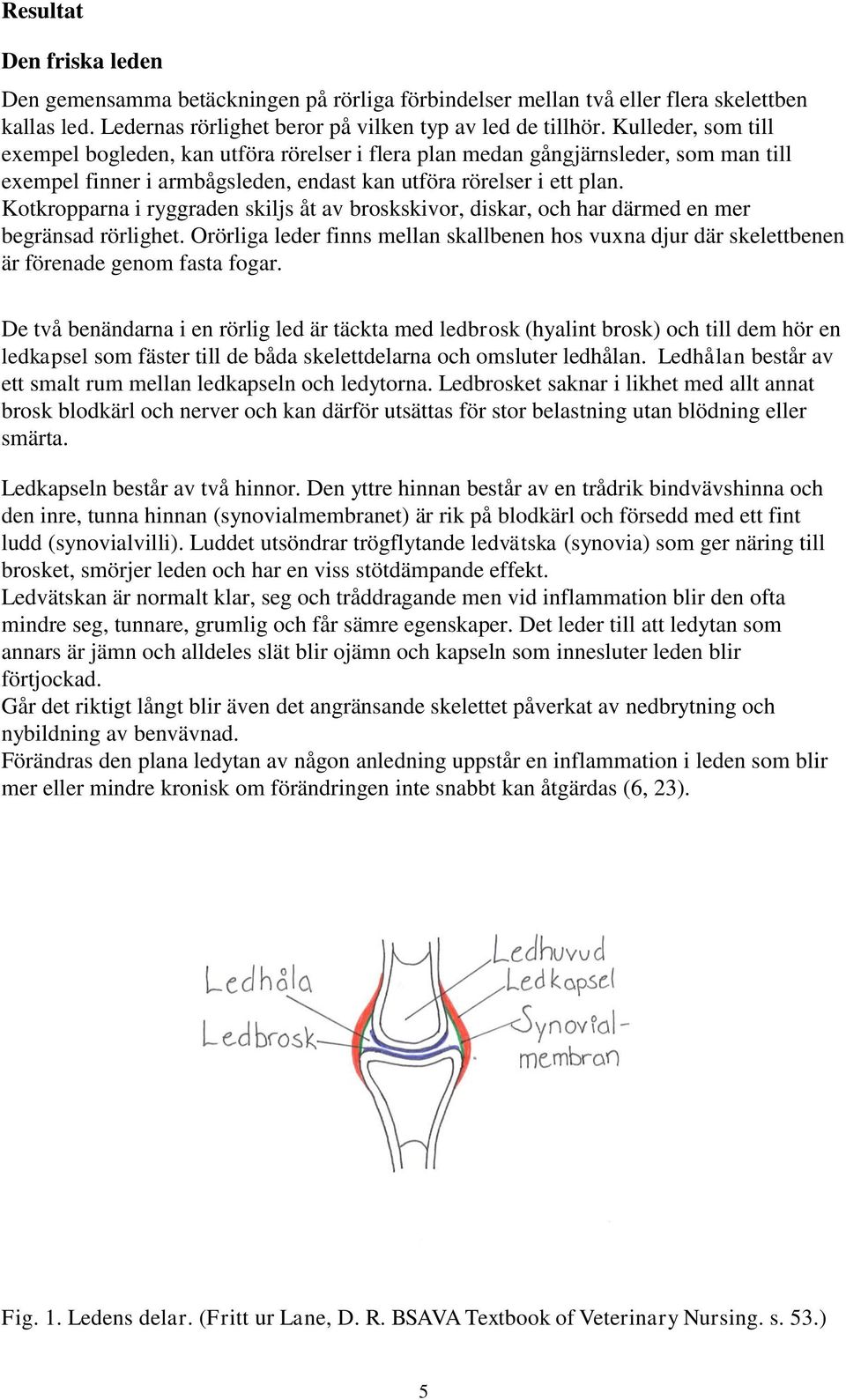 Kotkropparna i ryggraden skiljs åt av broskskivor, diskar, och har därmed en mer begränsad rörlighet.