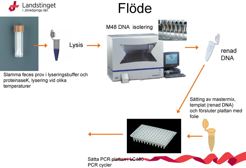 temperaturer Sätting av mastermix, templat (renad DNA) och