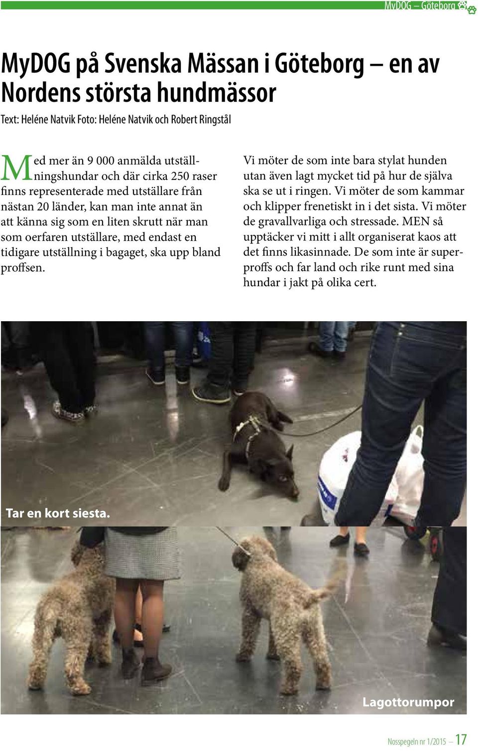 uppkopplad bordell hårt kön i Göteborg uppkopplad bordell hårt kön i Göteborg