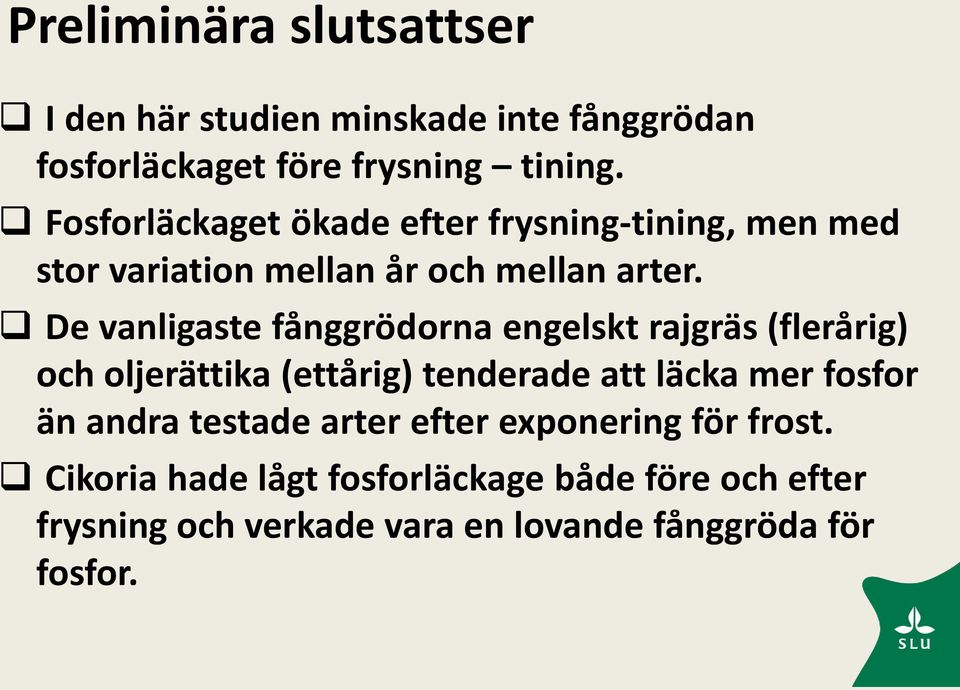 De vanligaste fånggrödorna engelskt rajgräs (flerårig) och oljerättika (ettårig) tenderade att läcka mer fosfor än