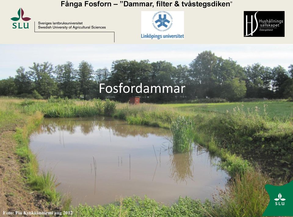 Fosfordammar Foto: Pia