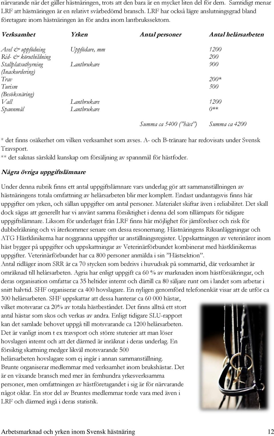 Verksamhet Yrken Antal personer Antal helårsarbeten Avel & uppfödning Uppfödare, mm 1200 Rid- & körutbildning 200 Stallplatsuthyrning Lantbrukare 900 (Inackordering) Trav 200* Turism 500