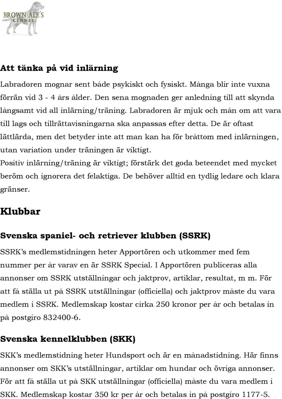 De är oftast lättlärda, men det betyder inte att man kan ha för bråttom med inlärningen, utan variation under träningen är viktigt.