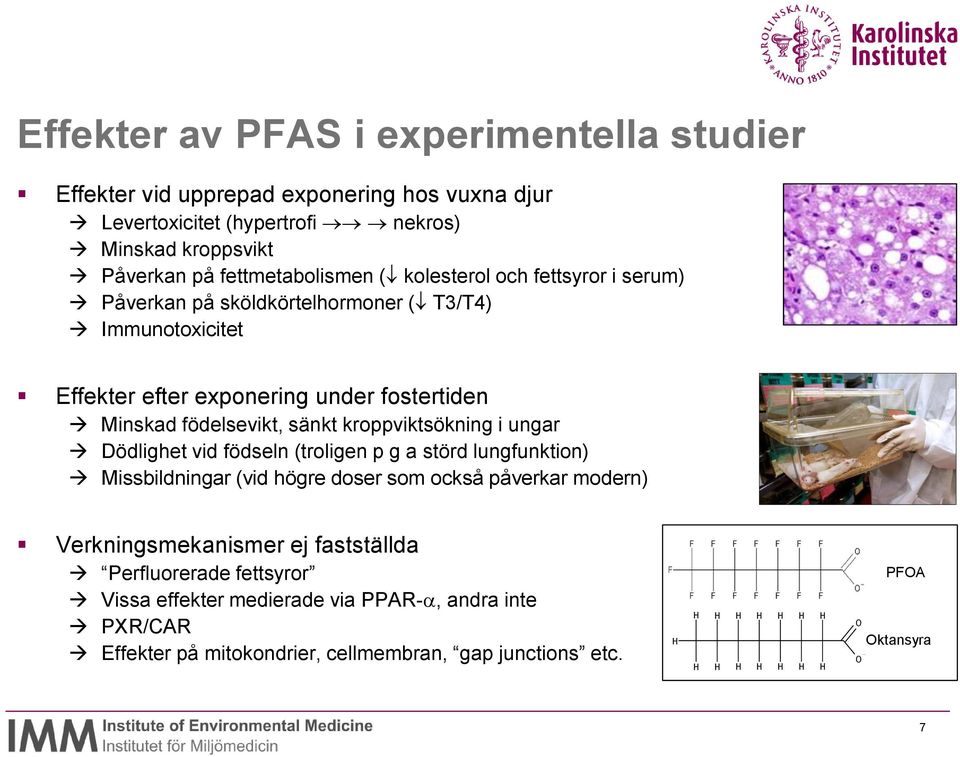 födelsevikt, sänkt kroppviktsökning i ungar Dödlighet vid födseln (troligen p g a störd lungfunktion) Missbildningar (vid högre doser som också påverkar modern)