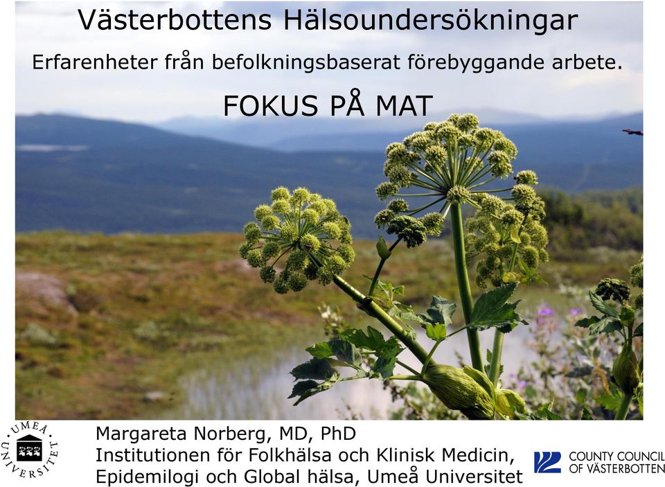 FOKUS PÅ MAT Margareta Norberg, MD, PhD Institutionen