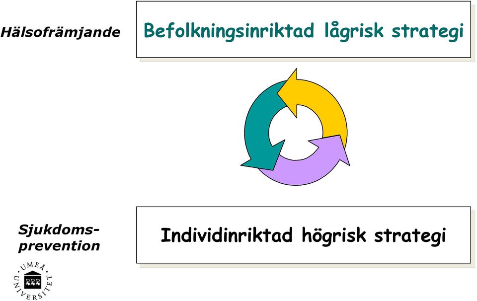 lågrisk strategi