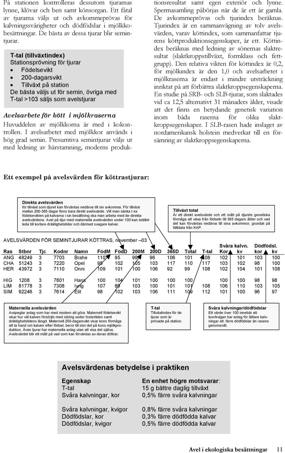 T-tal (tillväxtindex) Stationsprövning för tjurar Födelsevikt 200-dagarsvikt Tillväxt på station De bästa väljs ut för semin, övriga med T-tal >103 säljs som avelstjurar Avelsarbete för kött i