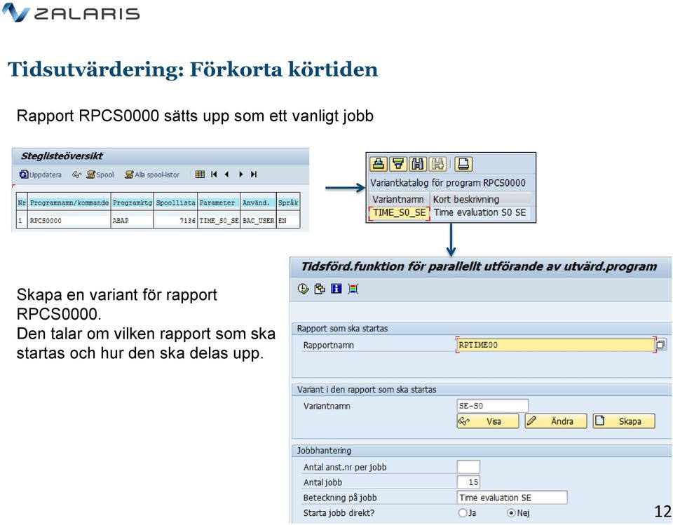 variant för rapport RPCS0000.