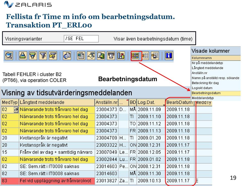 Transaktion PT_ERL00 Tabell FEHLER