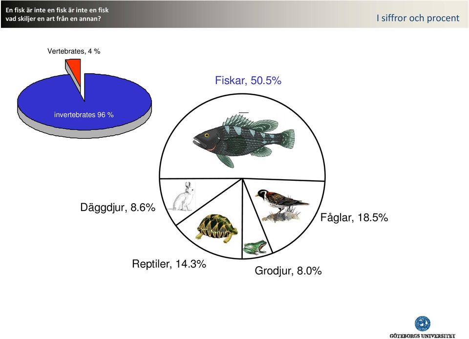 5% invertebrates 96 % Däggdjur,
