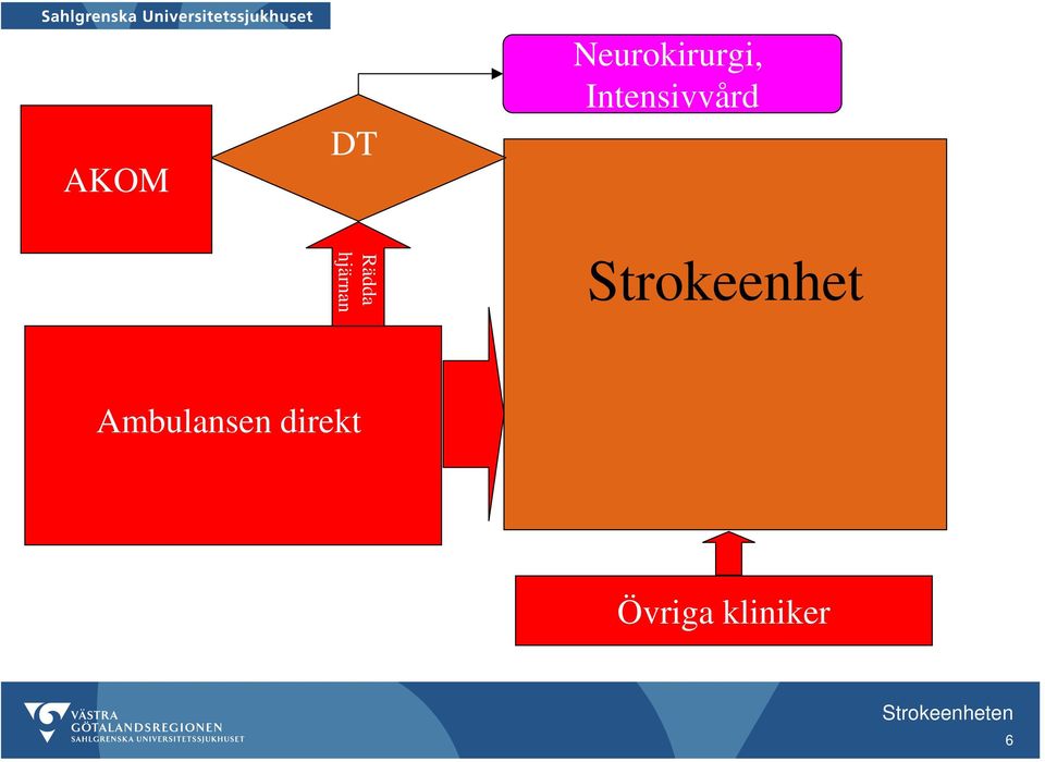 hjärnan Strokeenhet