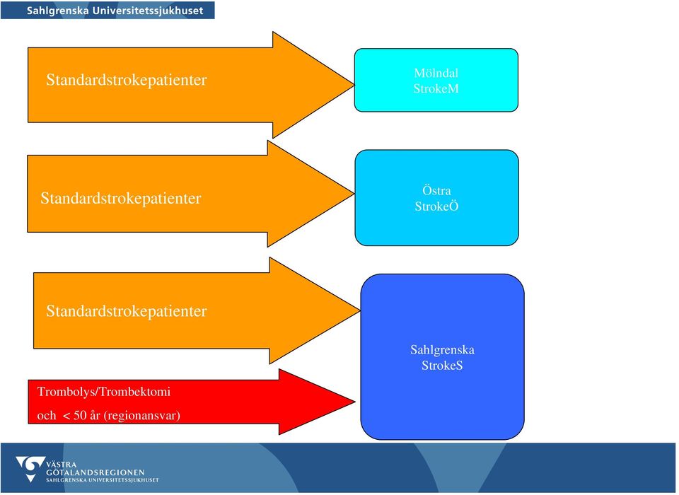 StrokeÖ Standardstrokepatienter Sahlgrenska