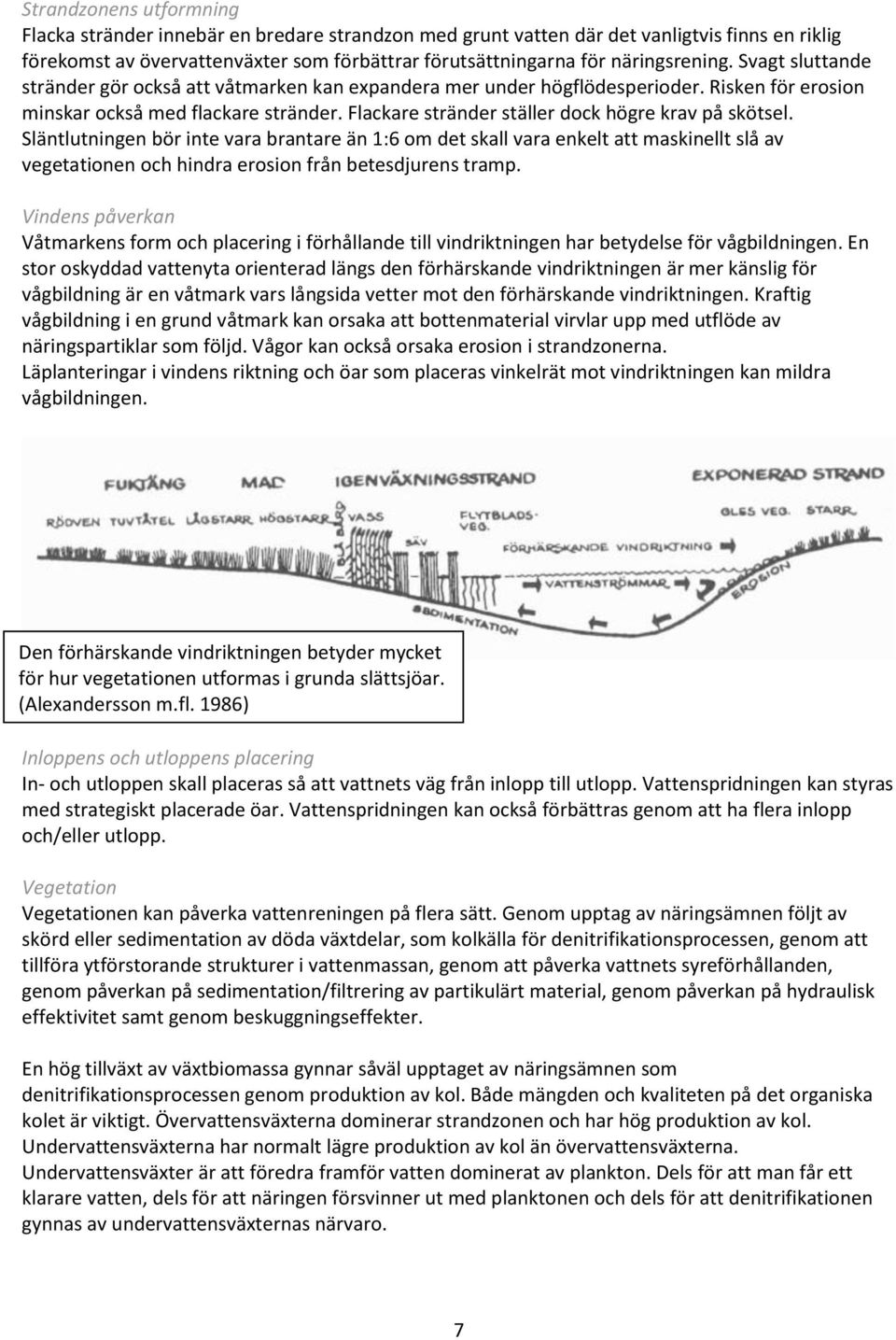 Flackare stränder ställer dock högre krav på skötsel.