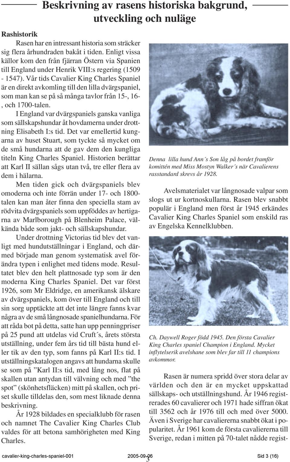 Vår tids Cavalier King Charles Spaniel är en direkt avkomling till den lilla dvärgspaniel, som man kan se på så många tavlor från 15-, 16-, och 1700-talen.