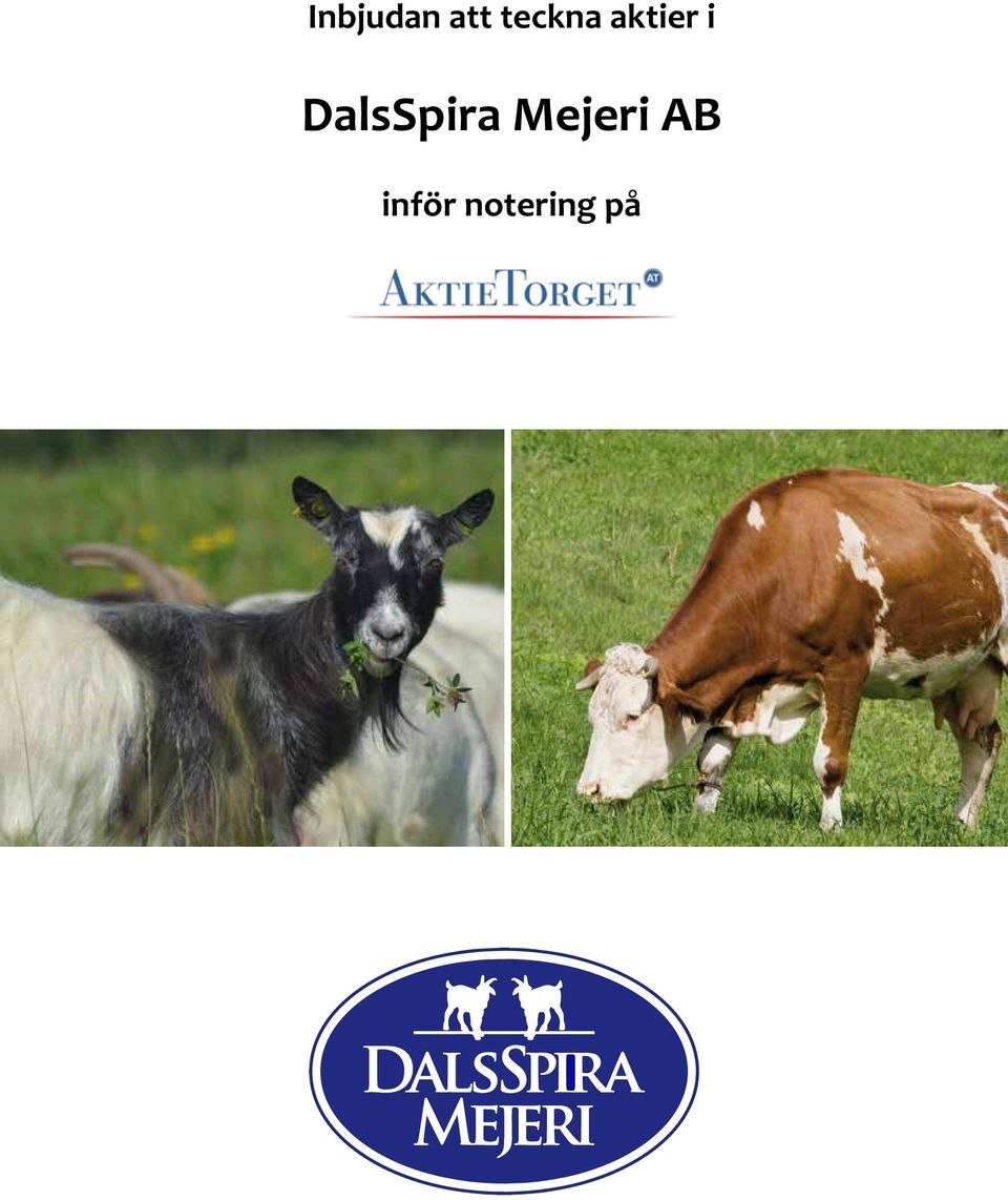 DalsSpira Mejeri