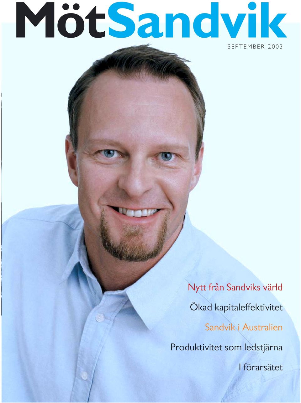 kapitaleffektivitet Sandvik i