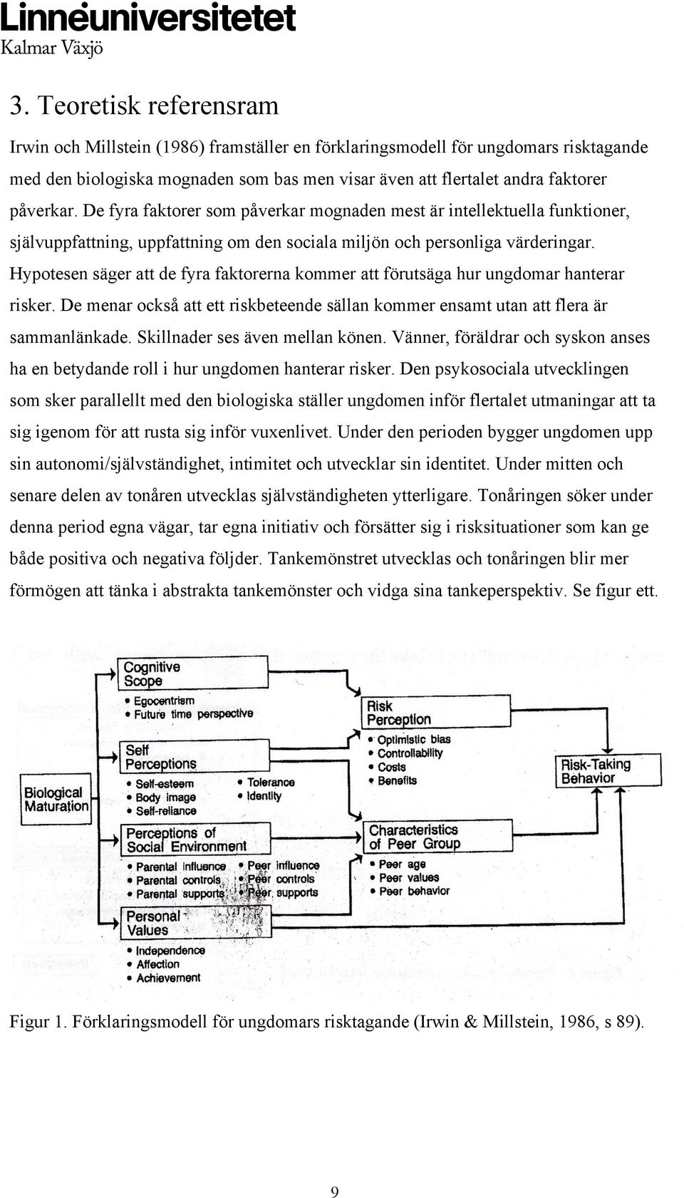 Hypotesen säger att de fyra faktorerna kommer att förutsäga hur ungdomar hanterar risker. De menar också att ett riskbeteende sällan kommer ensamt utan att flera är sammanlänkade.